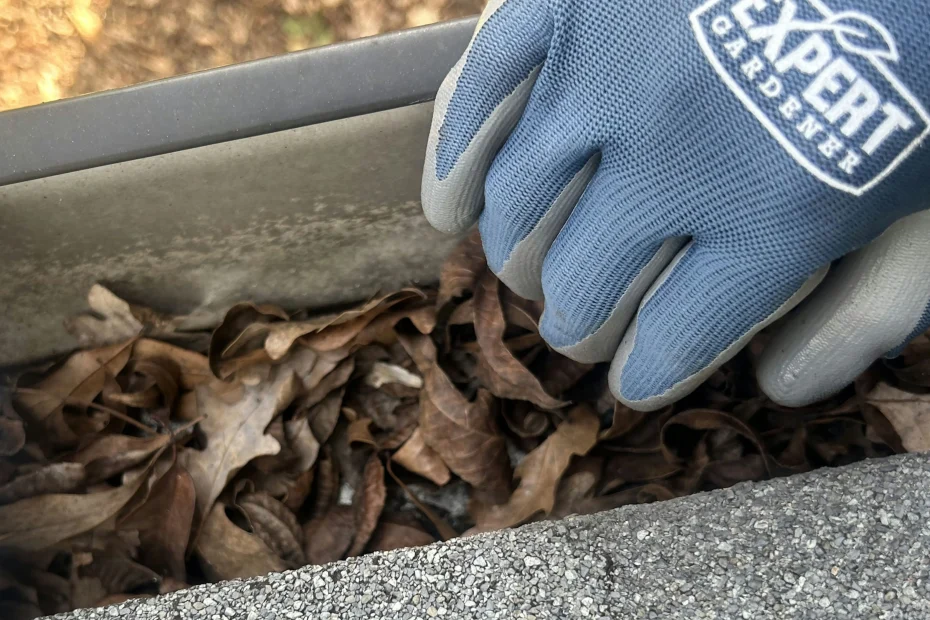 Gutter Cleaning Venice FL