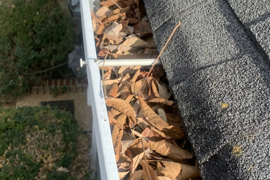 Gutter Cleaning Venice FL